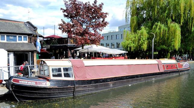 A photo titled "Water Ouzel", taken near Bridge 24, Chalk Farm Road (A502) by R~P~M on Flickr.