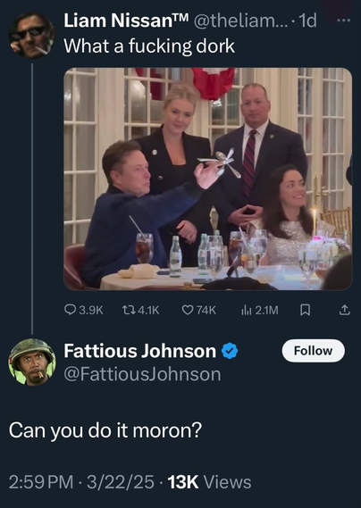 Alt text: A tweet from Liam Nissan™ (@theliam…) shows an image of Elon Musk at a formal dinner holding a fork and spoon contraption shaped like a miniature airplane, as if he’s about to launch it. The tweet caption says, “What a fucking dork.” Below it, another tweet by Fattious Johnson (@FattiousJohnson) replies, “Can you do it moron?” Timestamp reads 2:59 PM, 3/22/25, with 13K views.