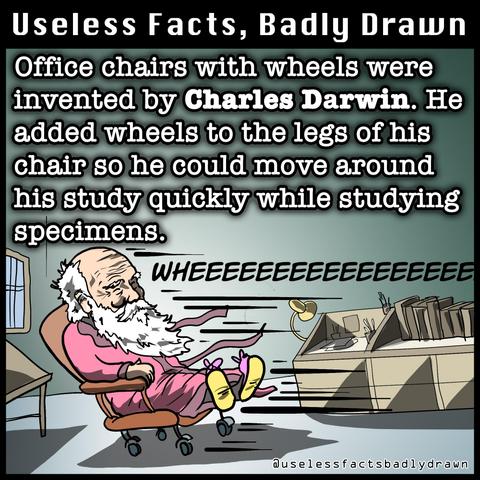 Office chairs with wheels were invented by Charles Darwin. He added wheels to the legs of his chair so he could move around his study quickly while studying specimens.
