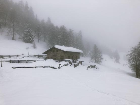 A mountain hut surrounded by trees and fog with snow