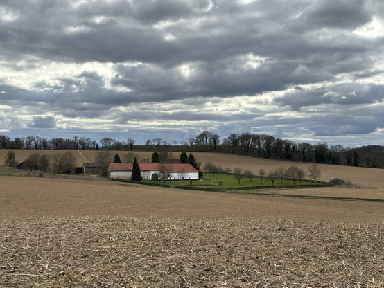 Landschap in de buurt van Walem (Valkenburg)