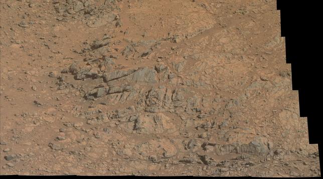 A zoom on the first image.