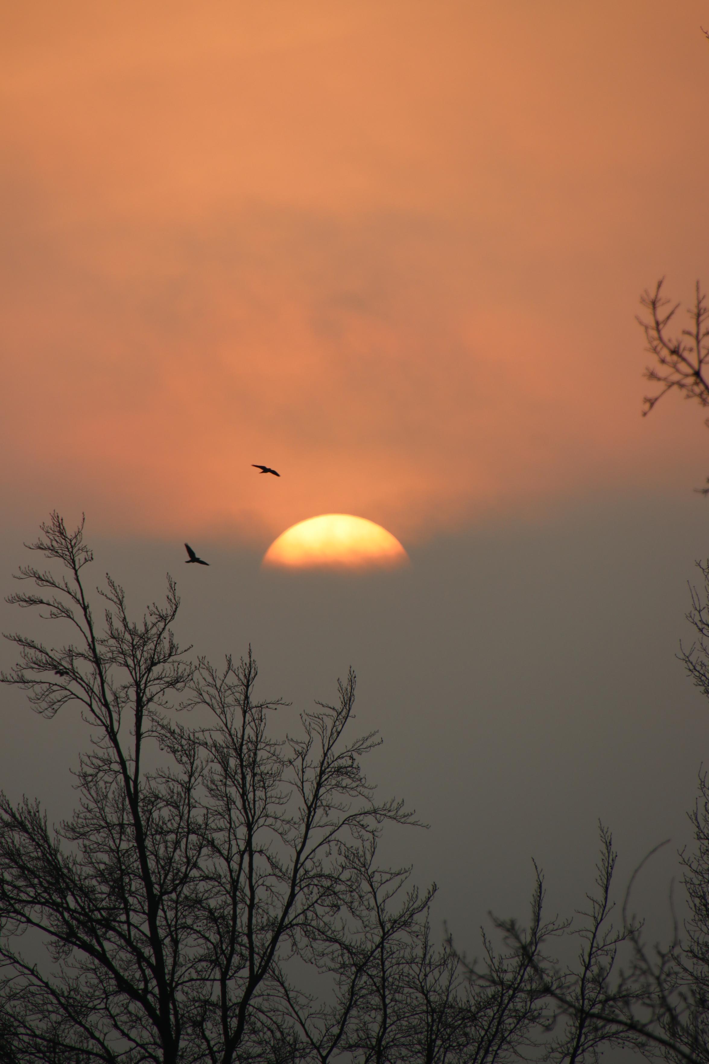 Zonsondergang