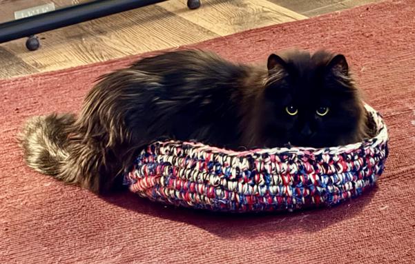 Tess, a very floofy black cat, lies with her back legs and tail spilling out of a seemingly too-small crocheted cat bed. The bed is shades of red, blue, purple and white yarn. The way the light hits her, Tess’s face is in shadow, so you see two ears atop a round black void with two piercing green eyes staring directly at the camera. The cat bed is on a red rug and you can see hardwood floor in the background.