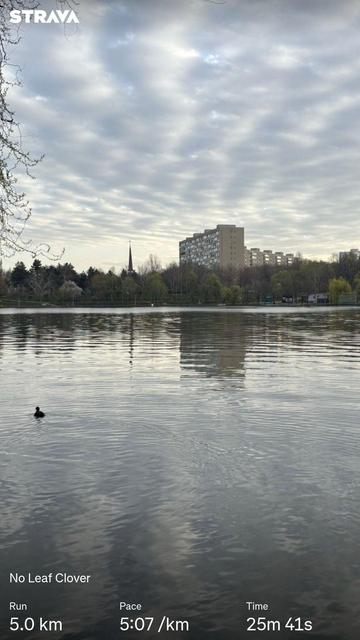 by the lake
