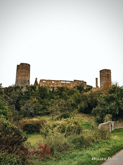 Blick auf die Burg Münzenberg in der Wetterau, aufgenommen von einem leicht ansteigenden, bewaldeten Hang. Die gut erhaltene Burgruine mit ihren zwei markanten Rundtürmen und der imposanten Mauer thront über dem satten Grün der umliegenden Vegetation. Im Vordergrund führen Wiesen, Büsche und ein schmaler Weg auf die Burg zu. Der Himmel ist hell und wolkenlos, was die historische Silhouette eindrucksvoll hervorhebt.