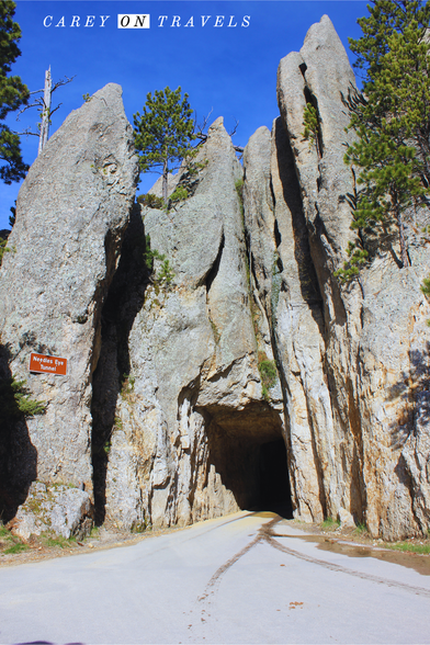 Tunnel through the Needles Custer State Park South Dakota