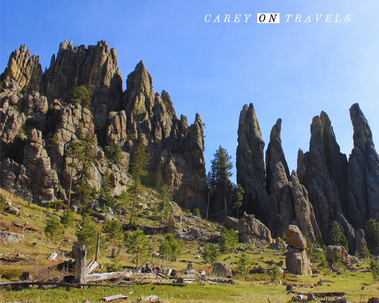 Cathedral Spires Custer State Park South Dakota