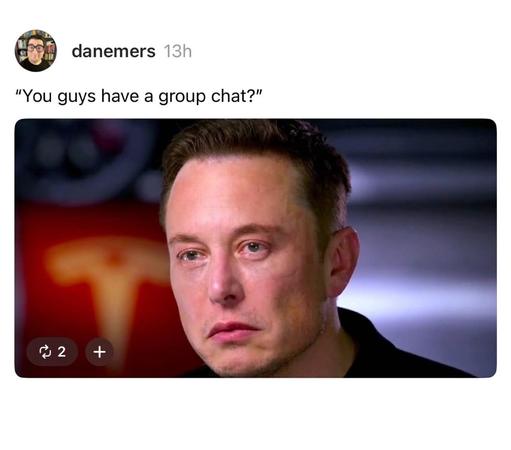 A tweet from the user “danemers” includes the caption: “You guys have a group chat?” Below the text is an image of Elon Musk with a slightly sad or disappointed expression. The background features a blurred Tesla logo, indicating the image is likely from an interview or documentary. The meme humorously implies a feeling of being left out of a conversation or social circle.
