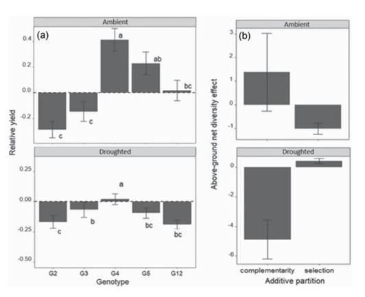 Competitive outcomes of the genotypes.