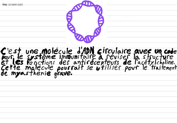 C’est une molécule d’ADN circulaire avec un code pour le système immunitaire à réviser la structure et les fonctions des antirécepteurs de l’acétylcholine. Cette molécule pourrait se utiliser pour le traitement de myasthénie grave.
