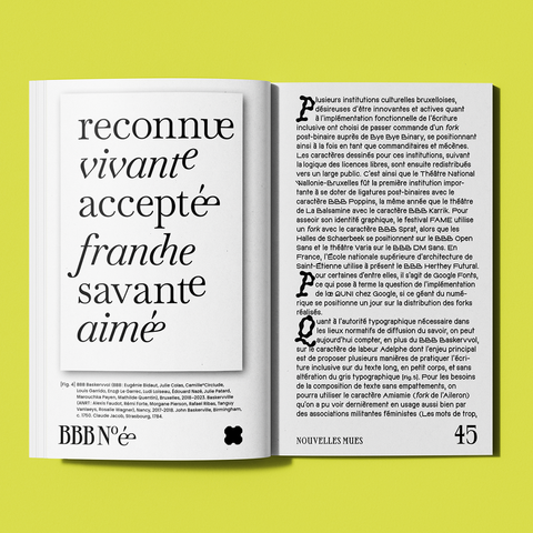 Double page présentant un article du premier numéro de la revue Bye Bye Binary et avec l'exemple de quelques ligatures post-binaires.