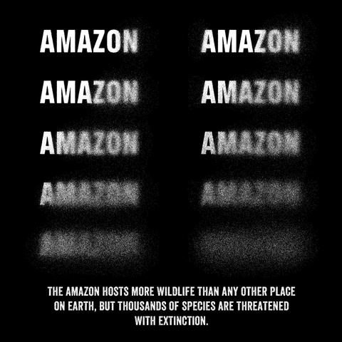 Amazon word repeated on visual is slowly fading away. Caption: the Amazon hosts more wildlife than any other place on Earth, but thousands of species are threatened with extinction. 