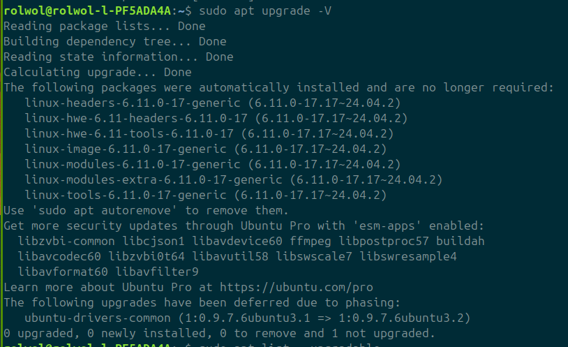 Output example of apt upgrade -V, showing packages with version numbers line by line.