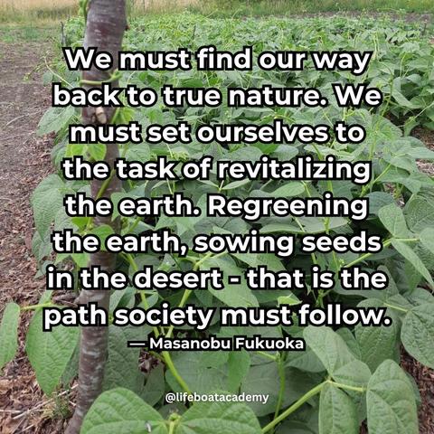 A social post from @lifeboatacademy which says: "We must find our way back to true nature. We must set ourselves to the task of revitalizing the earth. Regreening the earth, sowing seeds in the desert--that is the path society must follow." ― Masanobu Fukuoka