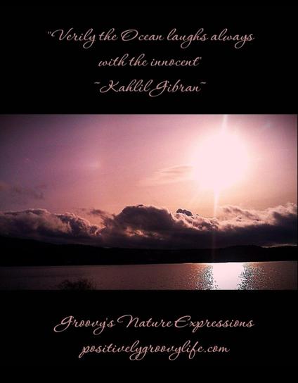 Wisdom-Groovy's Nature Expressions