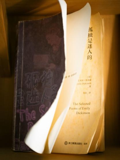 the selected poems of Emily Dickinson, Chinese edition. the book is displayed up right in a bookcase. its cover and first few pages are all curled up, showing its age. a golden sunlight shrines on the book.
