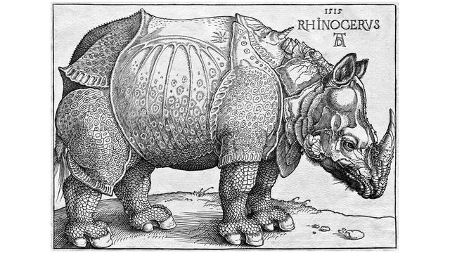 Rhinoceros From The Imagination of Albrecht Dürer, 1515