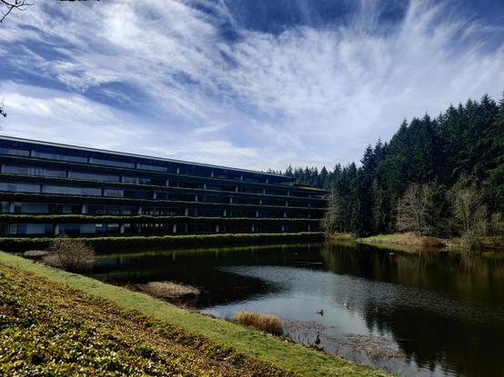 The Wayerhauser building in Federal Way WA is looking good! Five floors of lush greenery look out across a large pond under a gloriously striated sky.