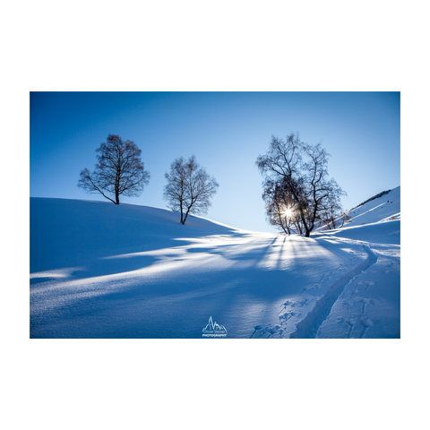 A fresh path in the fresh snow with the sun shinning between trees