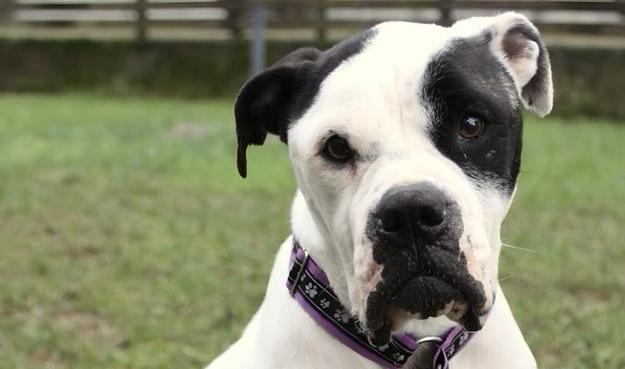 IGM kämpft für Industriearbeitsplätze