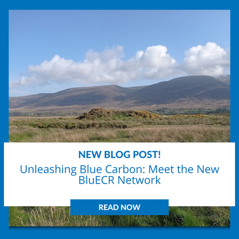 Image description: A view of  green fields with mountains in the background under a clear blue sky. With text reading: "Unleashing Blue Carbon: Meet the New BlueCR Network. Read Now."