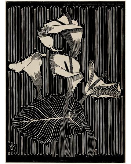 Arum Lily Flowers 1919  Samuel Jessurun de Mesquita