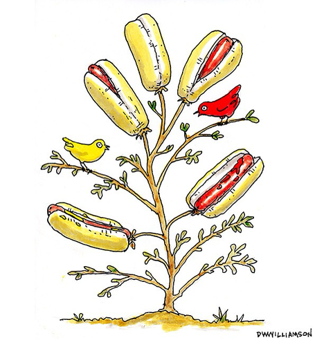 The Ketchup snd Mustard birds favor the Hot Dog Bush