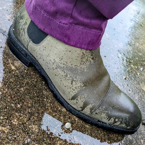 A photo of my right foot in a grey rain spattered Chelsea boots under a purple pant leg, on a wet sidewalk. There is a tiny snail beside my foot.