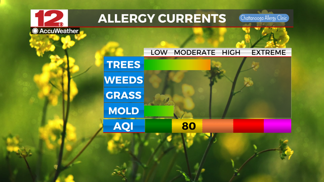 Latest #AirQualityIndex reading holding at 80 in the yellow/moderate category. Main pollutant is ozone. 

Tree pollen down to moderate levels, mold remains in the low category. Courtesy Chattanooga Allergy Clinic 