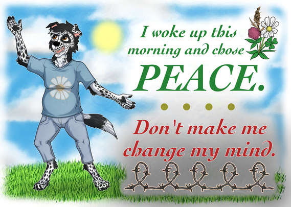 An anthropomorphic border collie in light blue jeans and  a light blue tee shirt with a home printed daisy design on the front poses as though dancing in a field of green grass with fluffy clouds in the blue sky. In the upper right quadrant of the image, a phrase typed in fancy green text is adorned with a small cluster of assorted flowers, reading "I woke up this morning and chose peace."  This is followed by a dull dark yellow elipsis, and beneath, typed in the same font,  but red, is the warning: "Don't make me change my mind."  The bottom of this caption is lined by barbed wire coils, and the background darkens toward the bottom of it.