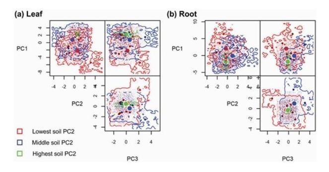 Pairwise plots for the shifts in plant chemical diversity along soil chemical gradients (the second axis of soil elements): (a) leaf dimension; (b) root dimension.