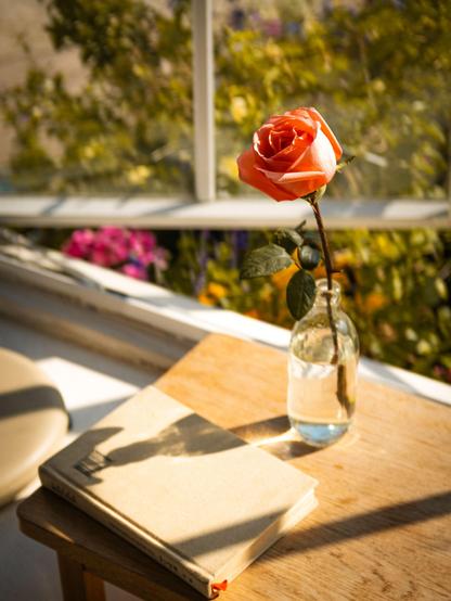 On a small wooden table lies a beige-covered book, which casts a soft shadow under the sunlight, suggesting it's a sunny day. Next to the book is a simple glass bottle filled with water, in which a single orange rose is elegantly placed. The rose, with its lush petals and green leaves, stands out against the background. The background is softly blurred, showing a window with a view of a garden outside. There are various green plants and some colorful flowers. The interplay of natural light creates a warm and tranquil atmosphere, making the scene feel peaceful and inviting, perfect for relaxation or contemplation.