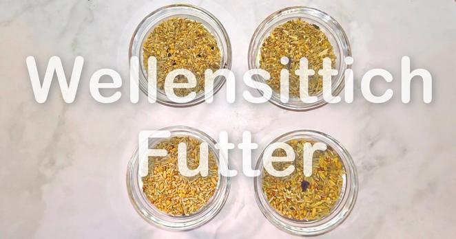 Futterempfehlungen