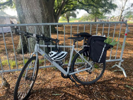 Grey bike leaving up against a gated barrier with green onions peeking out of the top of the pannier in the back. A bike helmet hangs from the handlebars. Live oak trees in a local park are in the background. 