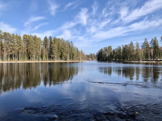 A wide river with a smooth surface reflects the blue sky. Tall pine trees grow on the shores.
