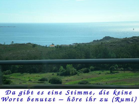 Da gibt es eine Stimme, die keine Worte benutzt – höre ihr zu (Rumi)