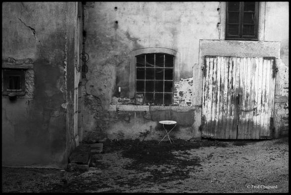 In the damp courtyard of an old abandoned farm. Photo taken with a 35mm camera on black and white negative film.