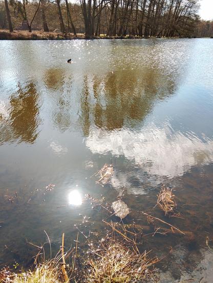 Sunlight reflecting in lake
