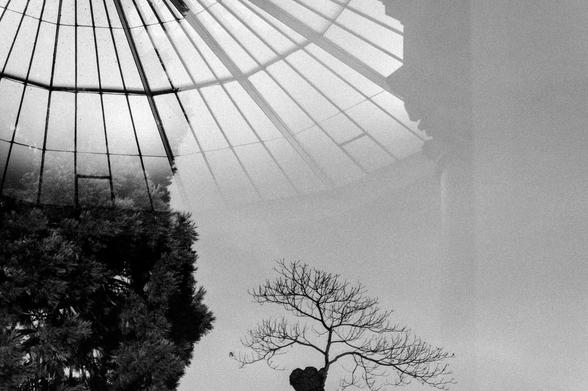 Spiegelung in der Karlsruher Orangerie