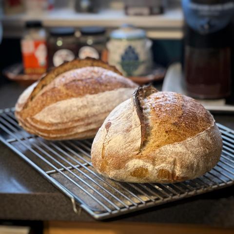 Two rustic loaves of bread on a cooling rack.
