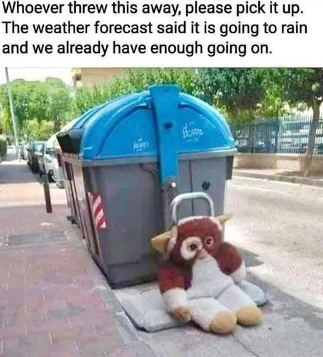 FOR REAL... #meme #funny #gizmo #gremlins 