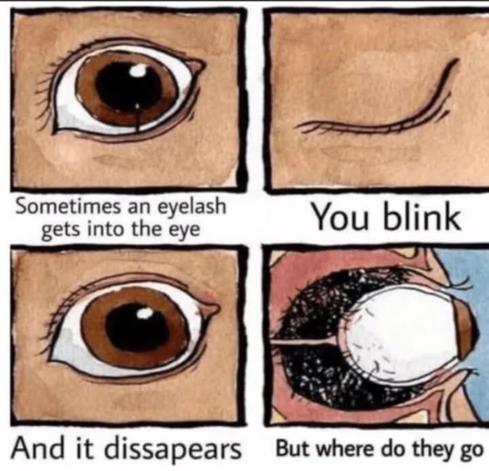 1st panel: [pic of eye] sometimes an eyelash gets into the eye
2nd panel: [pic of closed eye] you blink
3rd panel: [pic of eye open] and it disappears
4th panel: [pic of eyeball from the side with a bunch of hair behind it] but where do they go