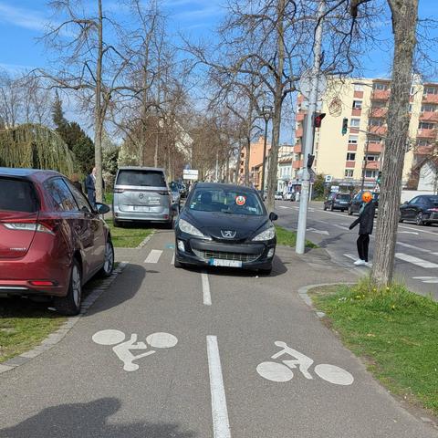 Une Peugeot 207 en train de circuler sur la piste cyclable, nez à nez avec un cycliste. Photo prise au niveau du passage piéton devant le parking de la Rotonde. Tout le long, dans les herbes, des voitures stationnées sauvagement.
