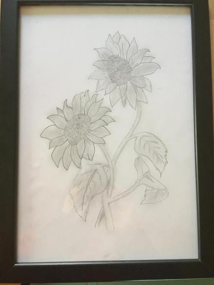 pencil drawing of 2 sunflowers