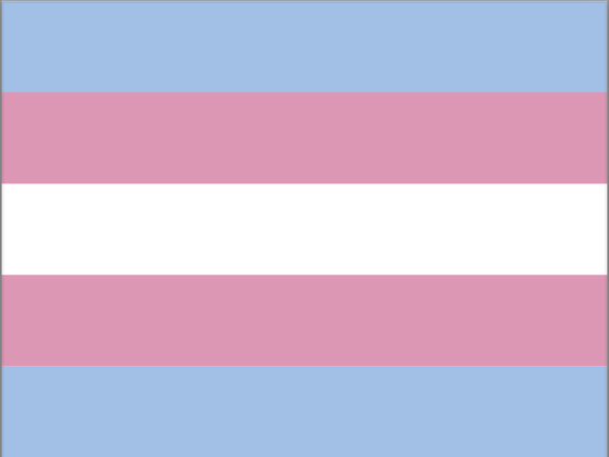 Happy transdayofvisibility !
I dag 31. mars er transsynlighetsdagen! 

Jeg har venner og nære slektninger som er trans, Jeg ville bare si: Jeg ser dere, jeg ser at mange av dere er bekymrede og utmattede, først over økende transfiendtlighet i Norge de siste årene, i tillegg det ekstreme som skjer i USA. 

Jeg er også bekymret! 