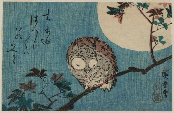 Little owl on a branch with some leaves, behind it the full moon and a dark turquoise sky. The owl is looking down.