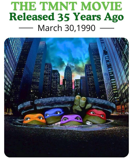 Les Tortues Ninja (Teenage Mutant Ninja Turtles) est un film américain réalisé par Steve Barron en 1990. Quatre petites tortues à la base très ordinaires se perdent accidentellement dans les égouts de New York et entrent en contact avec un liquide appelé mutagène. La substance les fait grandir autant en taille qu'en intelligence. Elles finissent par prendre une forme humanoïde. Leur sensei, un rat lui aussi contaminé par la substance, s’avère être un expert en arts martiaux et leur enseigne l'art ninja. Les Tortues attendent 15 ans avant de livrer leur premier combat hors des égouts afin de poursuivre leur formation. Ils tombent sur une bande de voyous surpris en flagrant délit par une jeune journaliste, April O'Neil, qui deviendra par la suite leur meilleure amie.