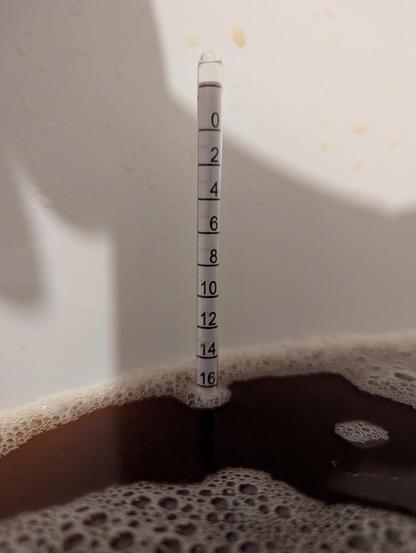 Ausspindeln des fertig gekochten und abgekühlten Suds. Das frische Malzbier hat knapp 17°P.