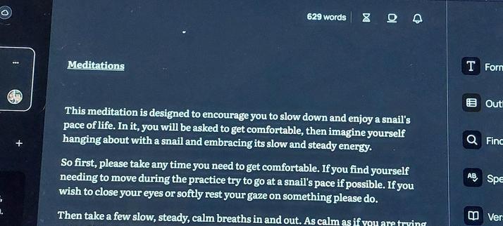 A shot of a document on a laptop screen, showing the start of a meditation I'm writing inspired by snails.